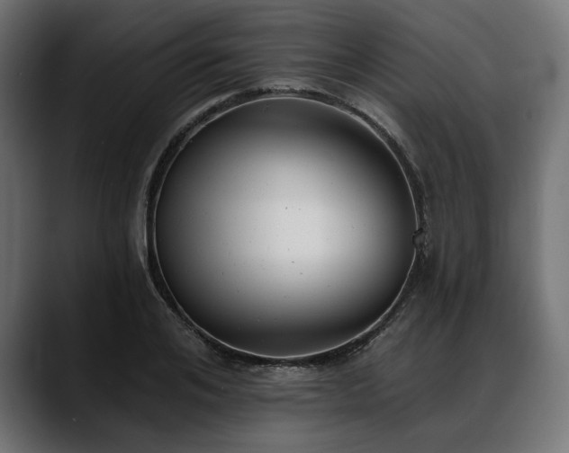 X0000088610984200705251217