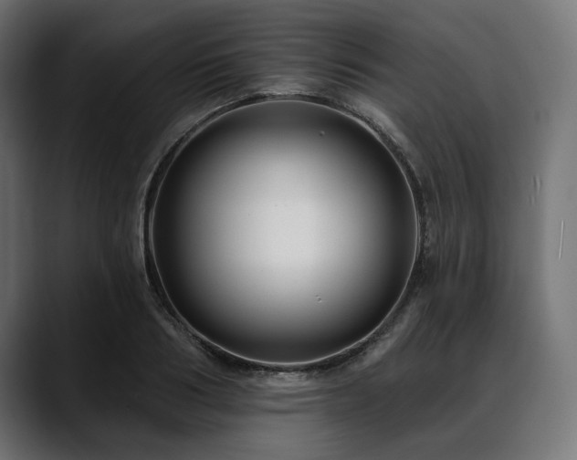 X0000088610986200705251217