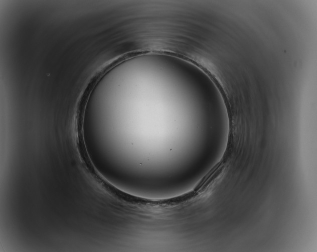 X0000088610987200705251217