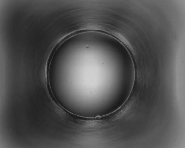 X0000088610988200705251217