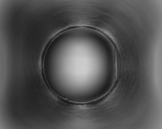 X0000088610990200705251217