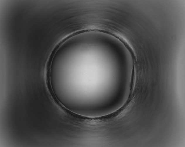 X0000088610991200705251217