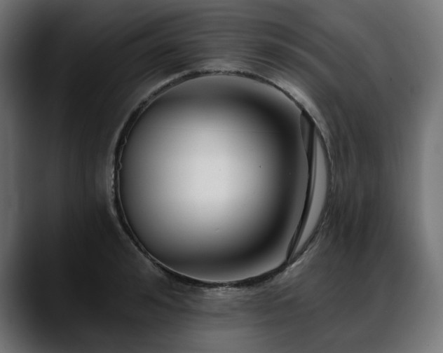 X0000088610992200705251217