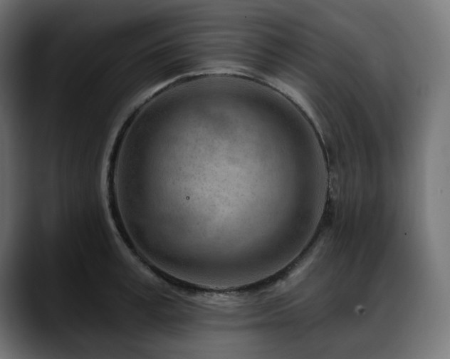 X0000088610995200705251217