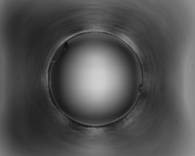 X0000088610996200705251217