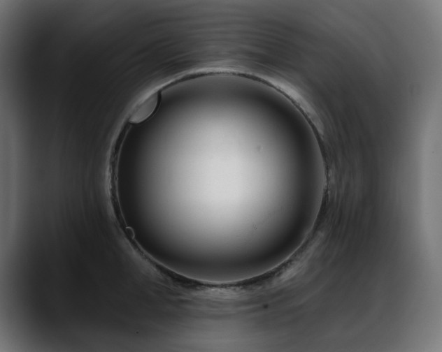 X0000088610998200705251217