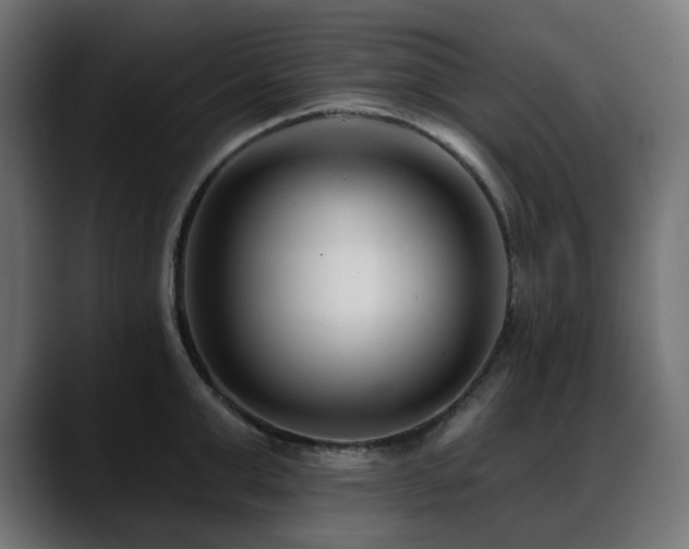 X0000088610999200705251217