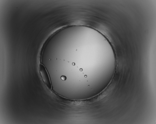 X0000088611000200705251217