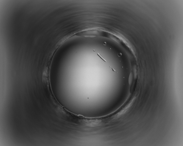 X0000088611001200705251217