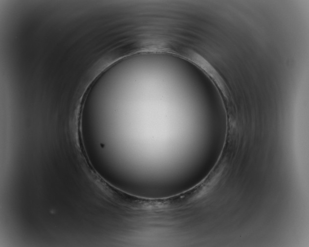 X0000088611002200705251217