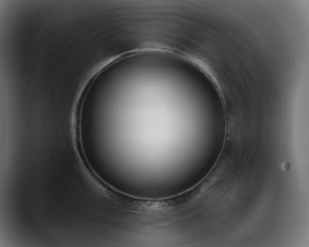 X0000088611003200705251217