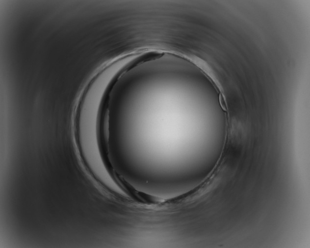 X0000088611005200705251217