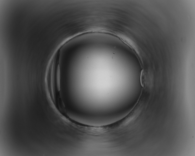 X0000088611007200705251217