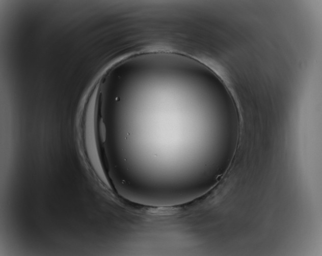 X0000088611008200705251217