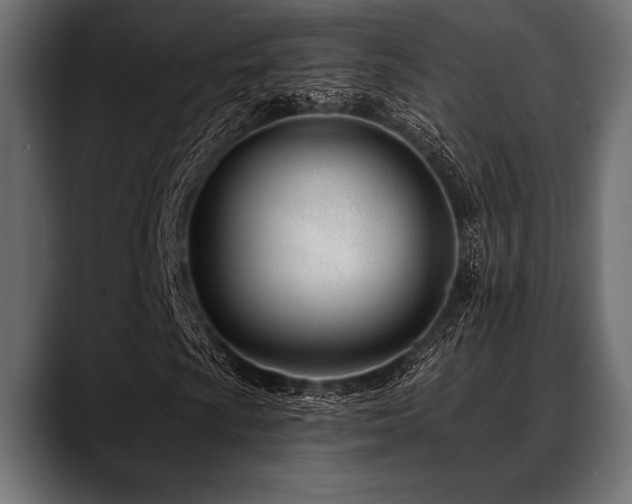 X0000088611009200705251216