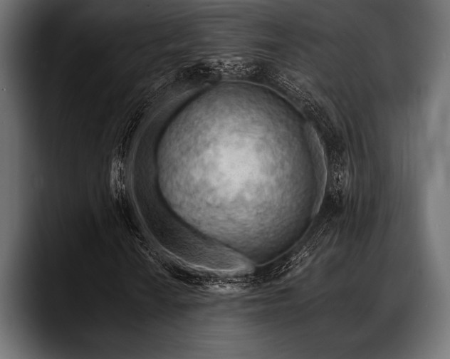 X0000088611010200705251216