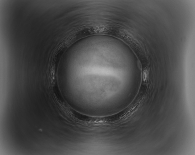 X0000088611011200705251216