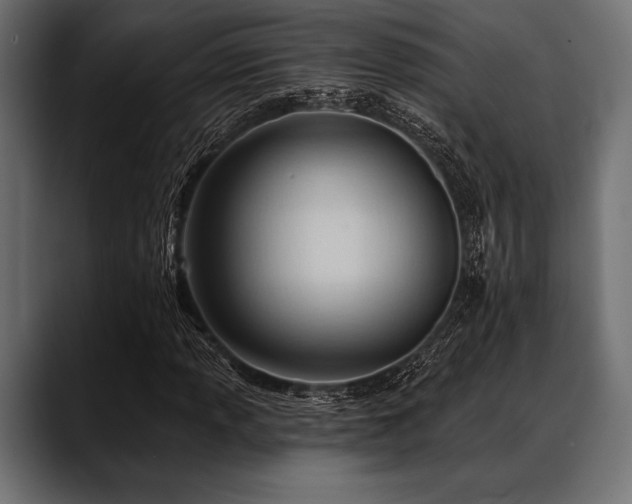 X0000088611013200705251216