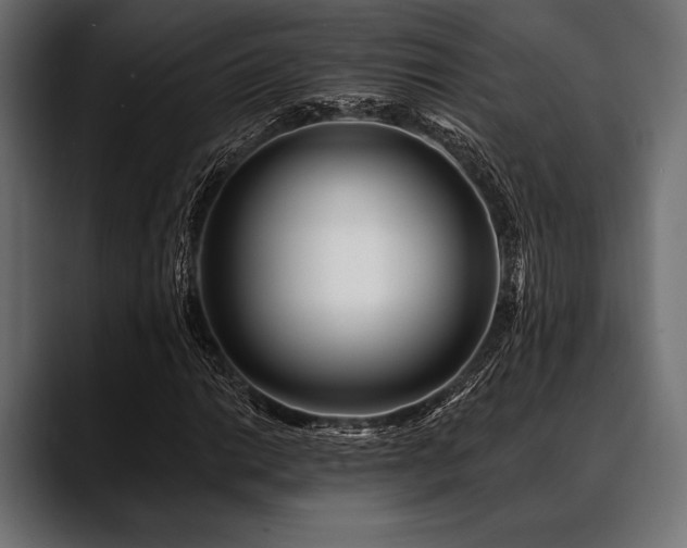 X0000088611014200705251216