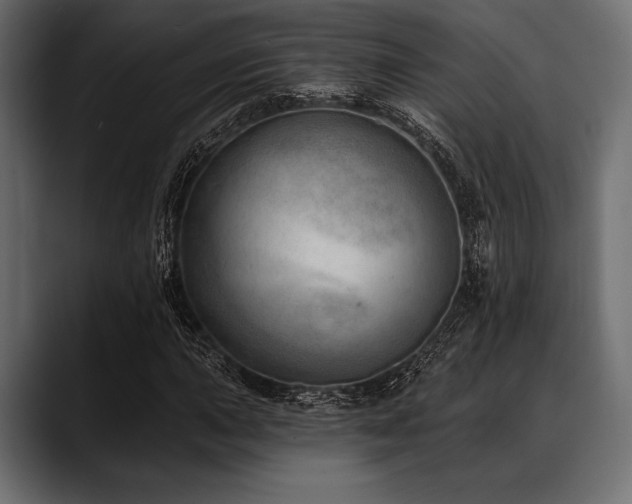 X0000088611015200705251216