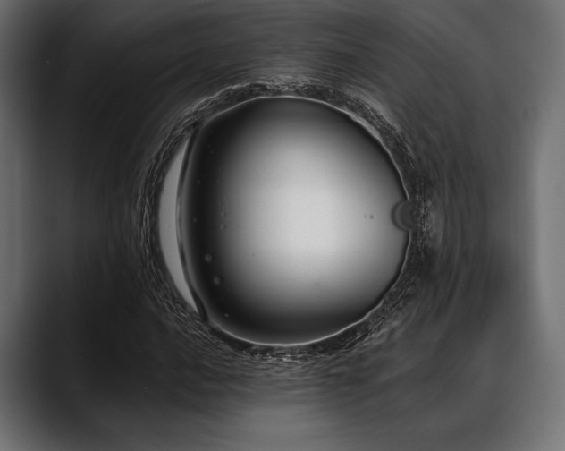 X0000088611016200705251216