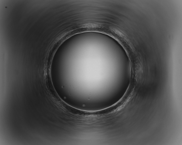 X0000088611017200705251216