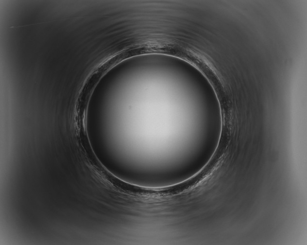 X0000088611018200705251216