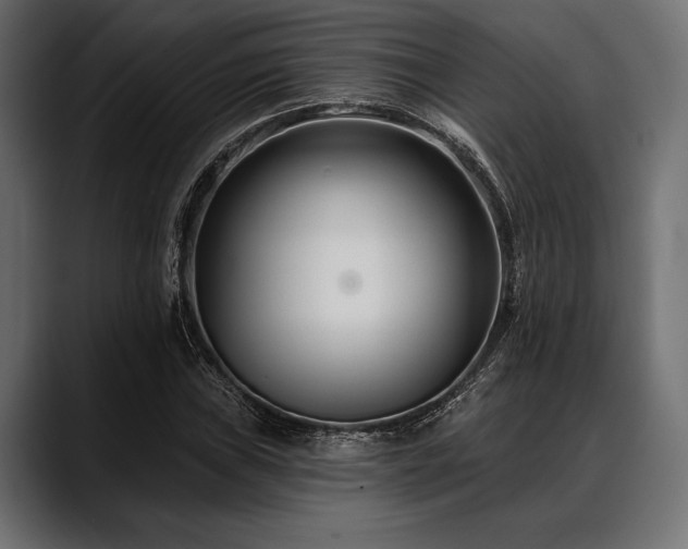 X0000088611019200705251216