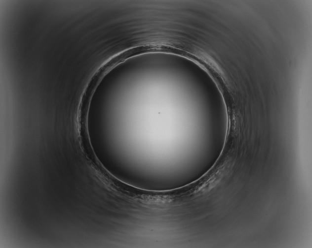 X0000088611020200705251216