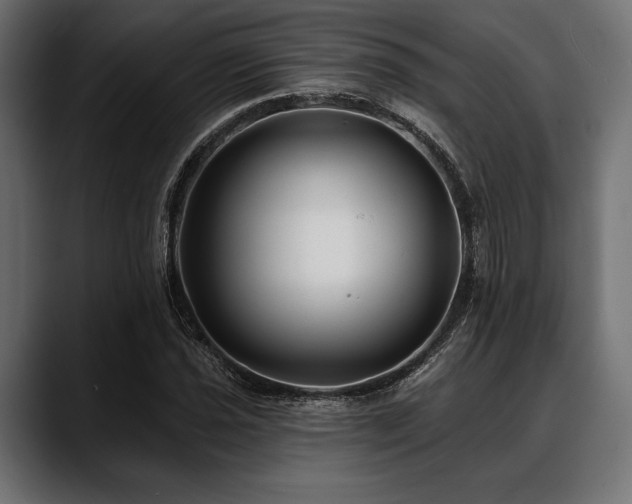 X0000088611021200705251216