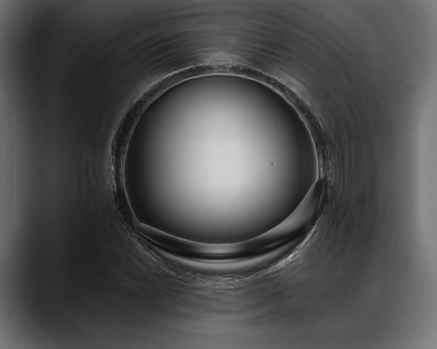 X0000088611022200705251216