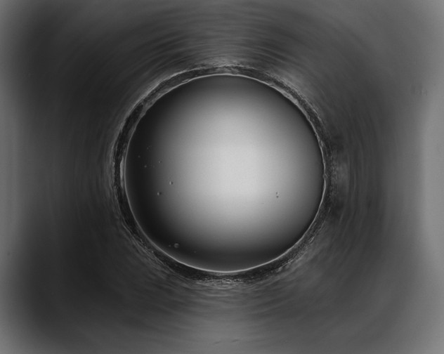 X0000088611023200705251216