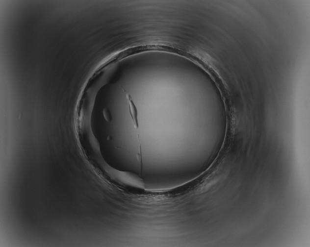 X0000088611024200705251216