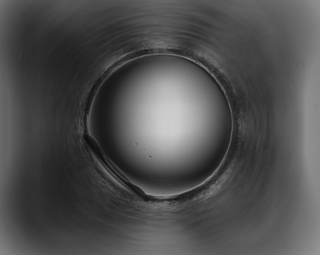 X0000088611025200705251216