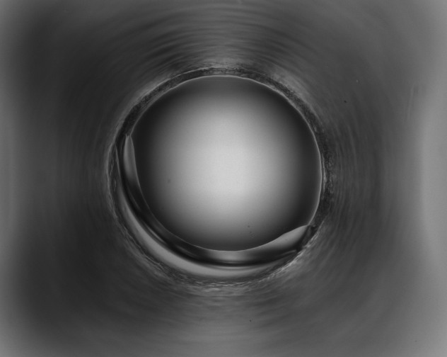 X0000088611026200705251216