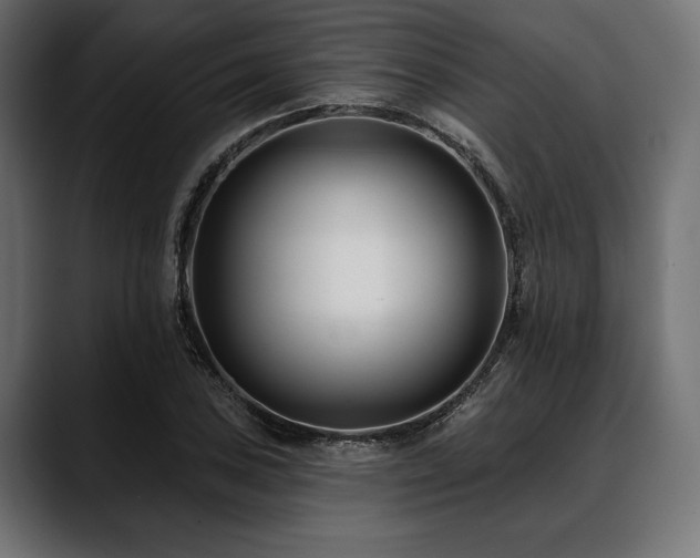 X0000088611027200705251216