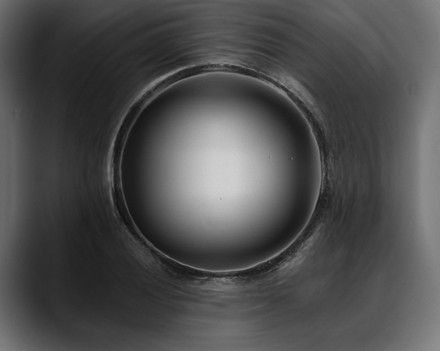 X0000088611028200705251216