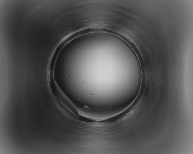 X0000088611029200705251216