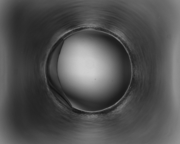 X0000088611030200705251216