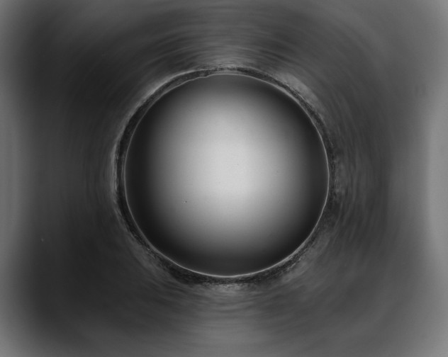 X0000088611031200705251216