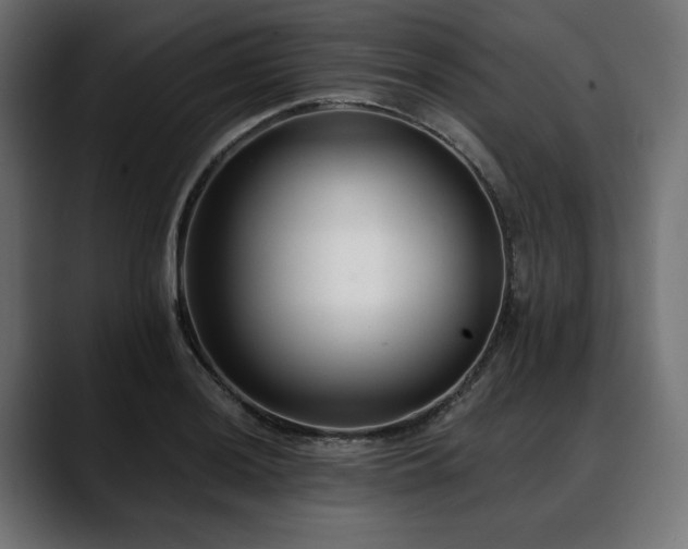 X0000088611036200705251217