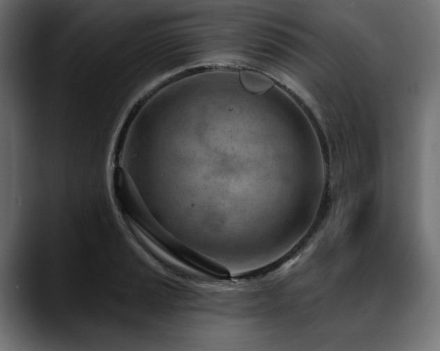 X0000088611037200705251217