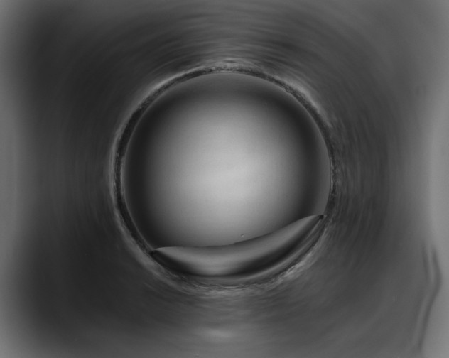 X0000088611038200705251217