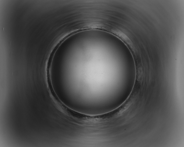 X0000088611039200705251217