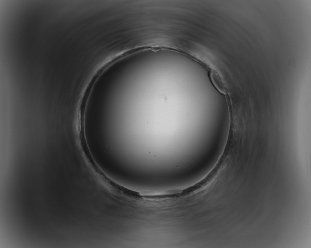 X0000088611040200705251217