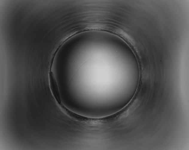 X0000088611041200705251217