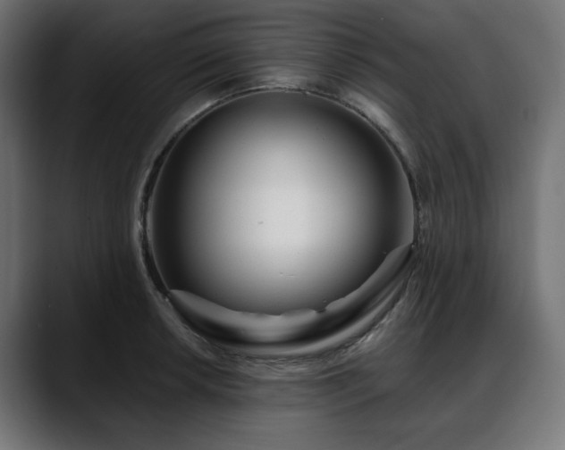 X0000088611042200705251217