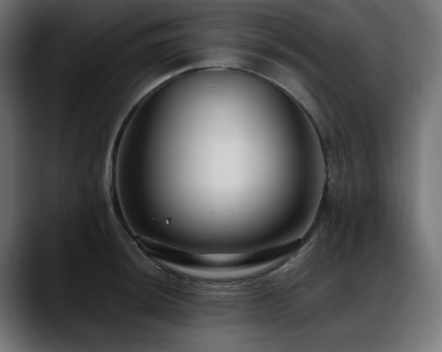 X0000088611044200705251217