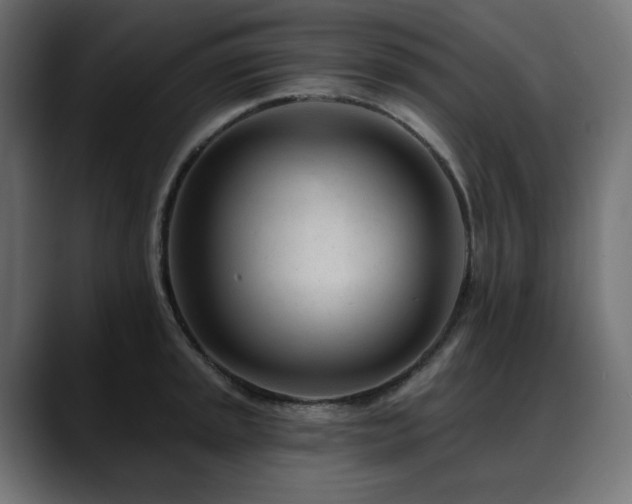 X0000088611045200705251217