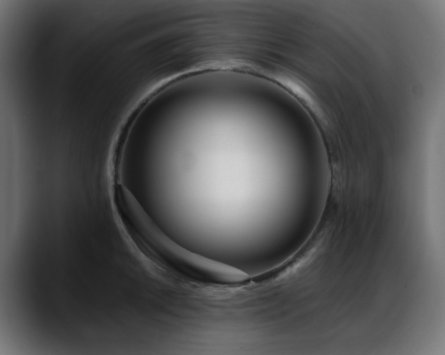 X0000088611046200705251217